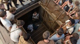 The Maze Runner