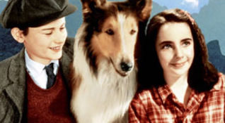 Lassie