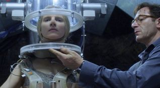 The OA