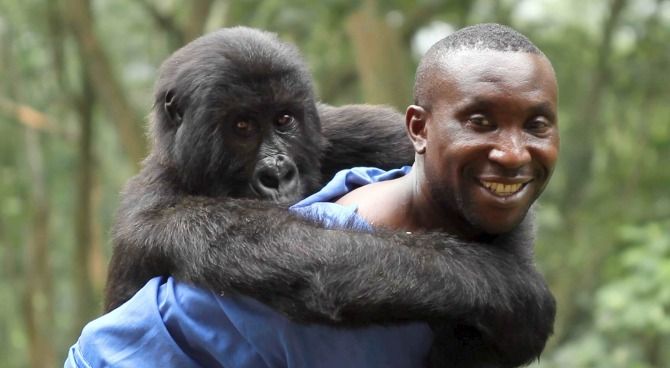 Virunga di Orlando von Einsiedel