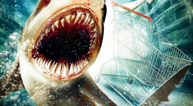 Shark 3D