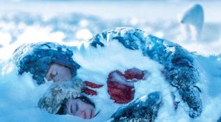Two lovers and a bear film 