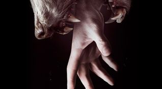 Hemlock Grove
