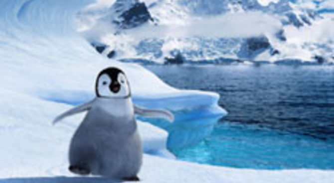 Happy Feet