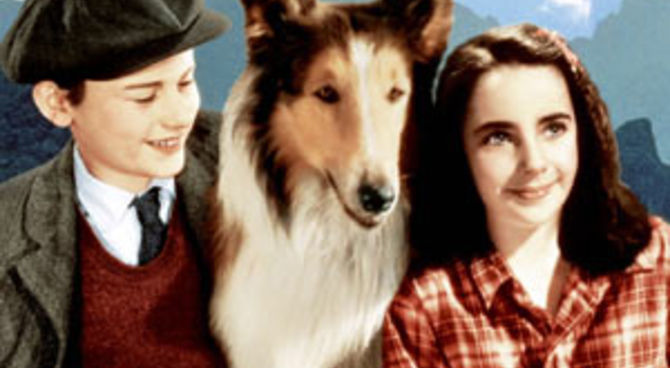 Lassie
