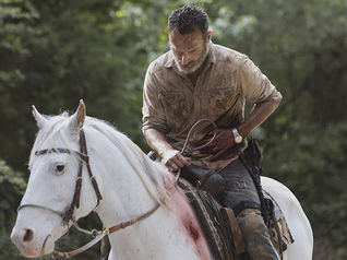 The Walking Dead