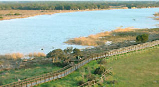 Maremma