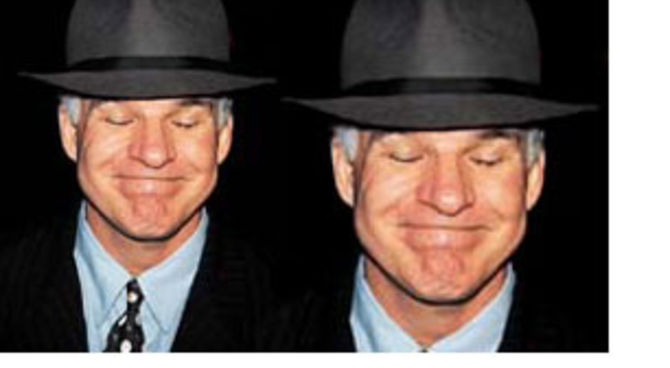 steve martin
