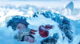 Two lovers and a bear film 