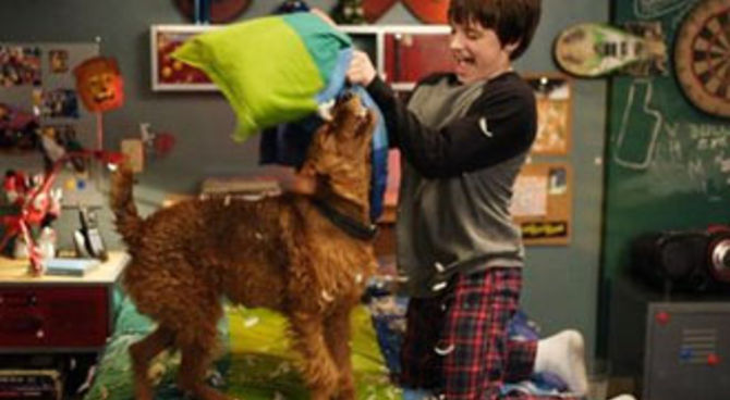 Il cane pompiere
