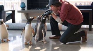 I pinguini di Mr. Popper - Jim Carrey