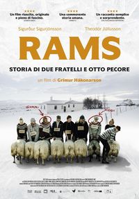 Rams - Storia di due fratelli e otto pecore