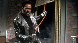 Shaft
