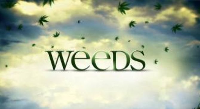 Weeds