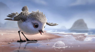 Piper