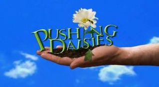 Pushing Daisies
