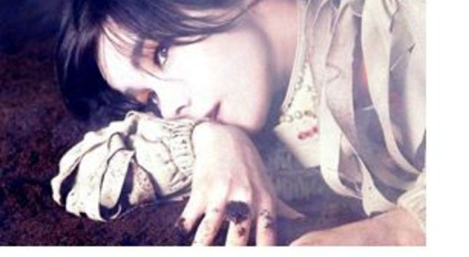 bjork foto 3