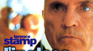 L'INGLESE, dvd