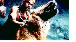 Amores Perros