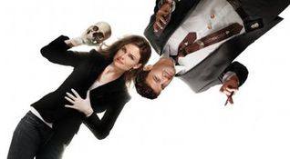 Bones