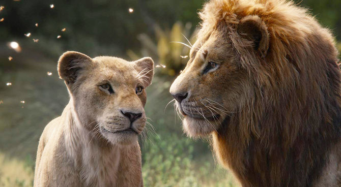 Il Re Leone