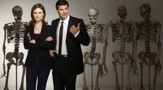 Bones