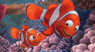 Alla ricerca di Nemo