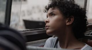 Pelo Malo
