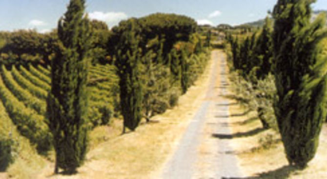 L'Italia nel bicchiere