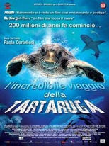 L'incredibile viaggio della Tartaruga - Locandina