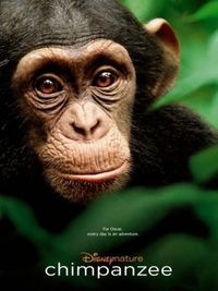 Chimpanzee - Locandina