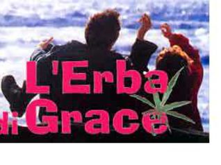 L'erba di Grace