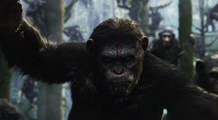 Dawn of the Planet of the Apes