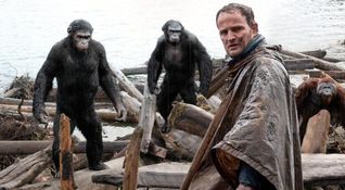 Apes Revolution