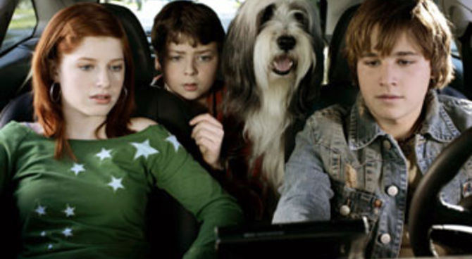 Shaggy Dog