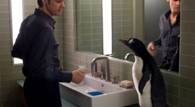 I pinguini di Mr. Popper  - Jim Carrey